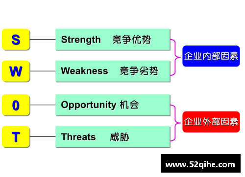 冰岛球员角色分析及职责概述